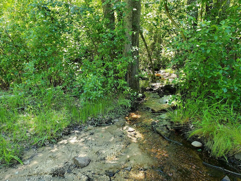 Bunker Hill Bogs Recreation Area - Jackson Township, NJ
