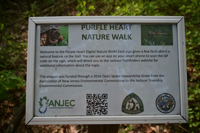 Bunker Hill Bogs Recreation Area - Jackson Township, NJ