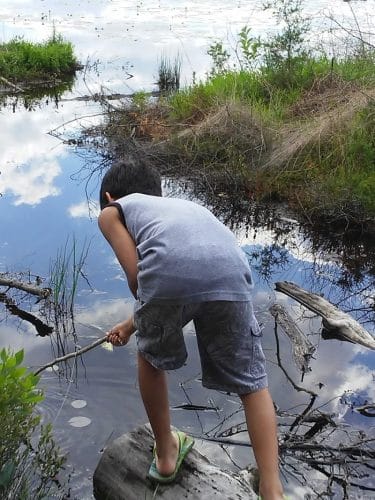 Bunker Hill Bogs Recreation Area