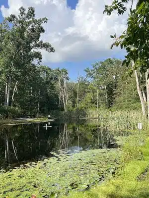 Butterfly Camping Resort
