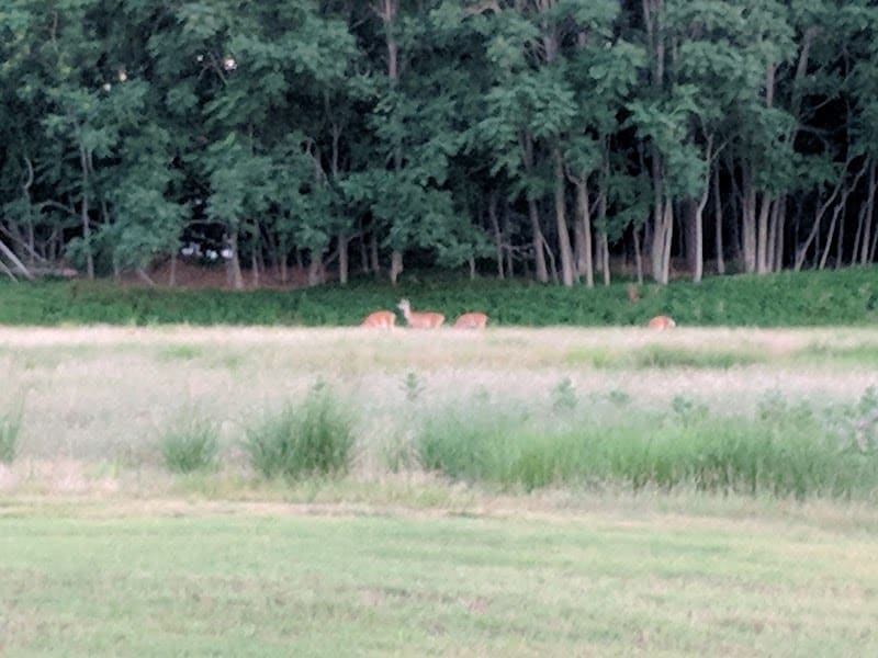 Johnson Memorial Park - Jackson Township, NJ