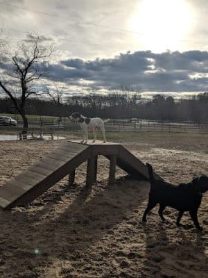 Johnson Memorial Park
