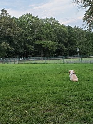 Johnson Memorial Park