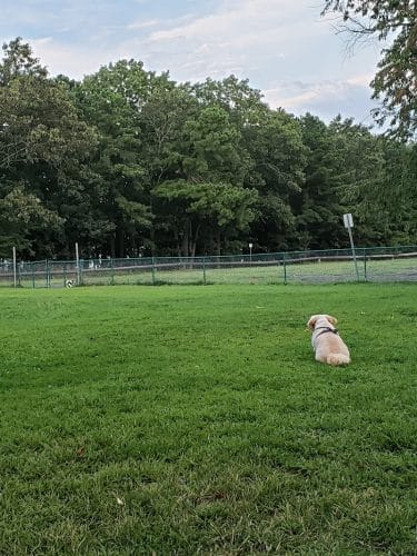 Johnson Memorial Park