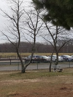 Johnson Memorial Park