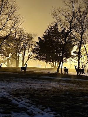 Johnson Memorial Park