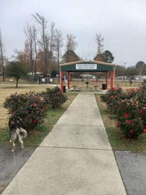 Jacksonville Dog Park