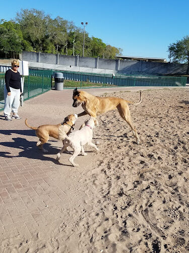 Paws Park (member only)