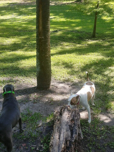 Boone Park