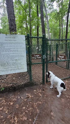 Dog Park