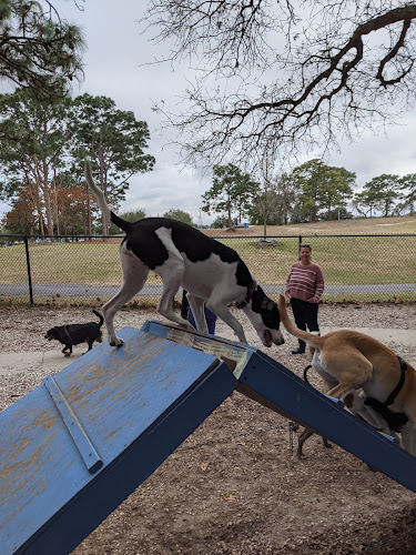 Ed Austin Regional Dog Park