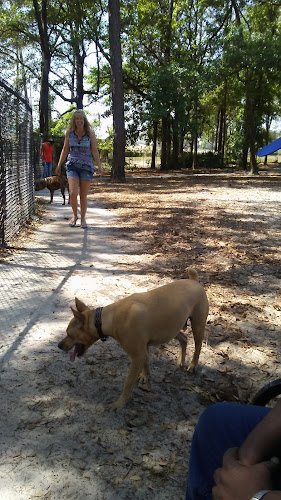 Good dog park