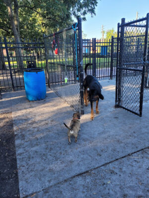 John Gorrie Dog Park of Riverside Park