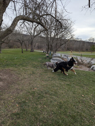 Jamesville beach off leash dog park