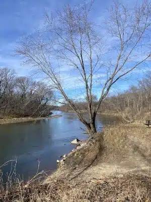 Shell Rock Access Area