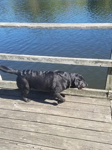 Shakamak State Park