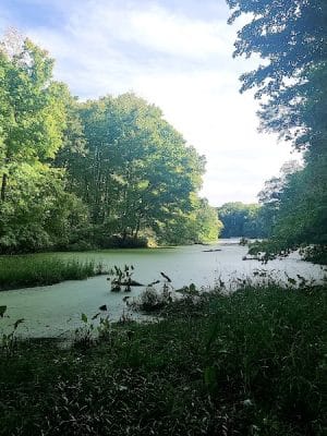 Shakamak State Park