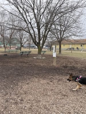 Jefferson City Large Dog Park - Jefferson City, MO