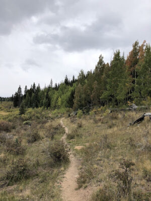 Long Gulch Trailhead