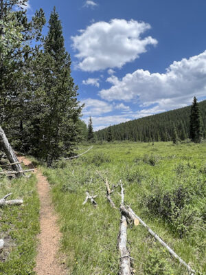 Lost Park Campground