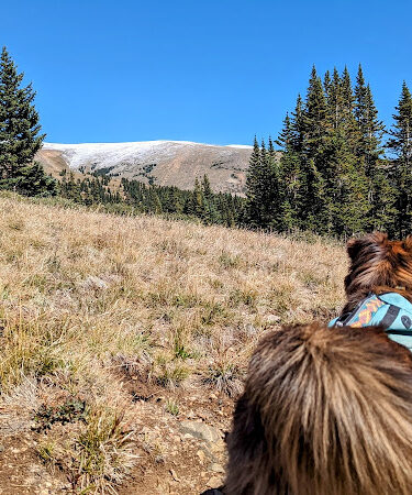West Jefferson Trailhead
