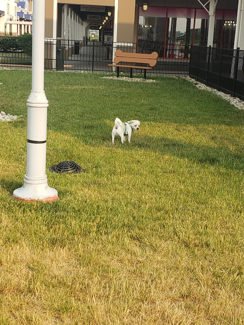 Destination Dog Park - Jeffersonville, OH