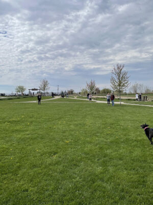 Grand Ravines Dog Park