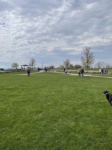 Grand Ravines Dog Park