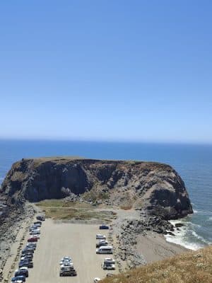Goat Rock State Beach - Sonoma Coast State Park