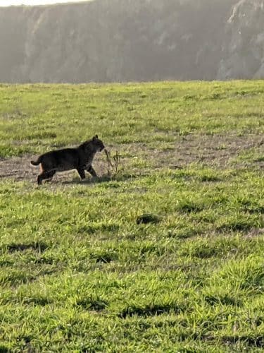 Fort Ross State Historic Park