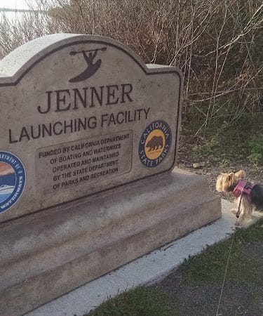 Jenner Beach