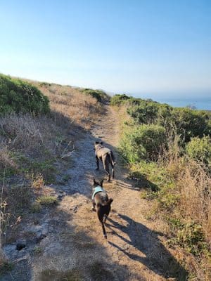 Jenner Headlands Preserve - Jenner, CA