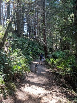 Stillwater Cove Regional Park