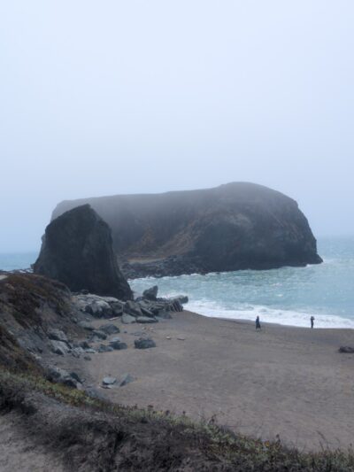 Goat Rock State Beach - Sonoma Coast State Park - Jenner, CA