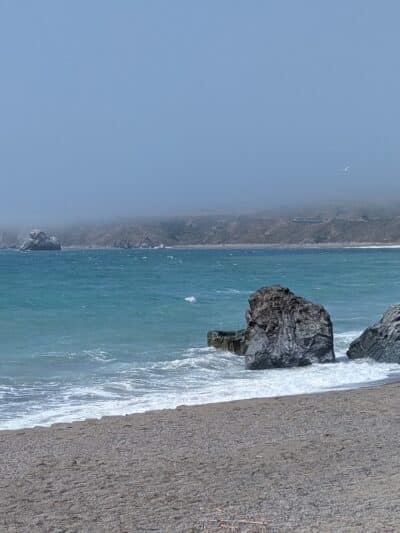 Goat Rock State Beach - Sonoma Coast State Park - Jenner, CA