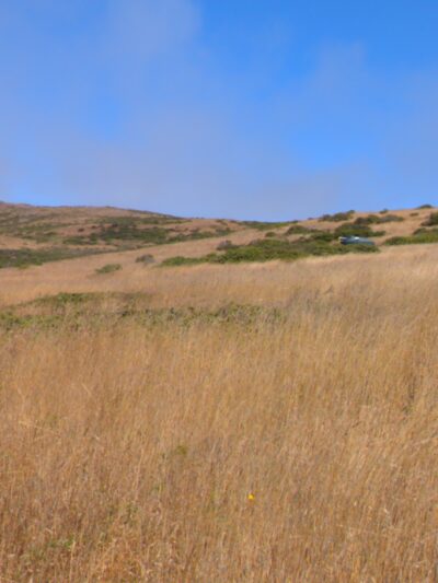 Jenner Headlands Preserve - Jenner, CA