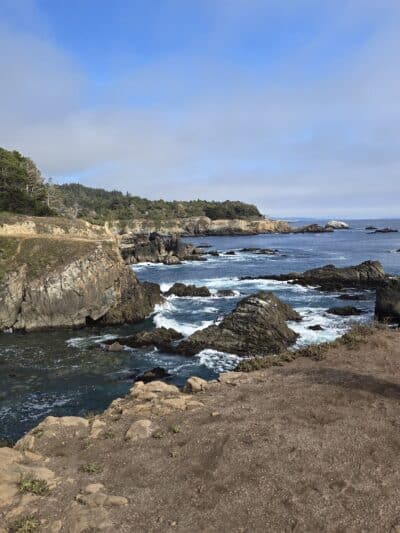 Ocean Cove Campground - Jenner, CA
