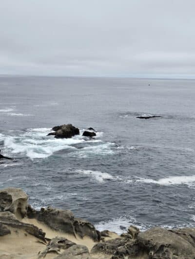 Ocean Cove Campground - Jenner, CA
