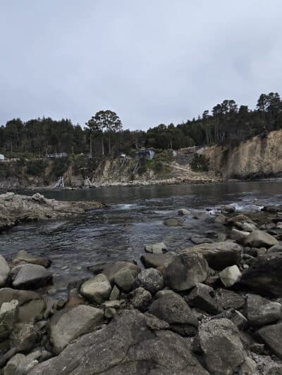 Ocean Cove Campground - Jenner, CA
