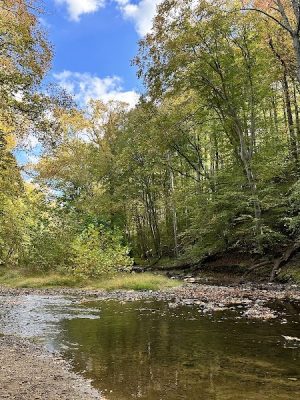 Wincopin Trails