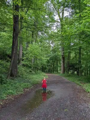 Wincopin Trails