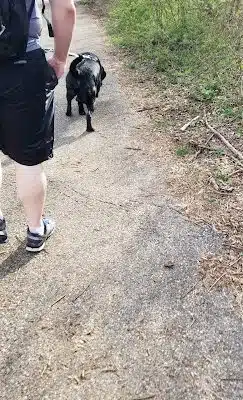 Wincopin Trails