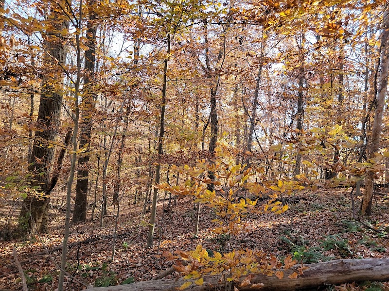 Wincopin Trails - Jessup, MD
