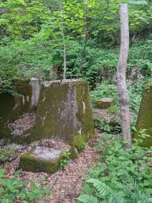 Wincopin Trails