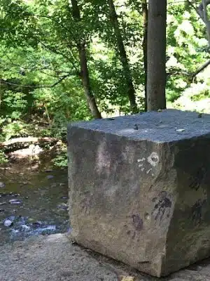 Wincopin Trails