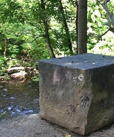 Wincopin Trails