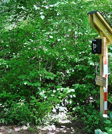 Wincopin Trails