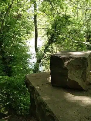 Wincopin Trails