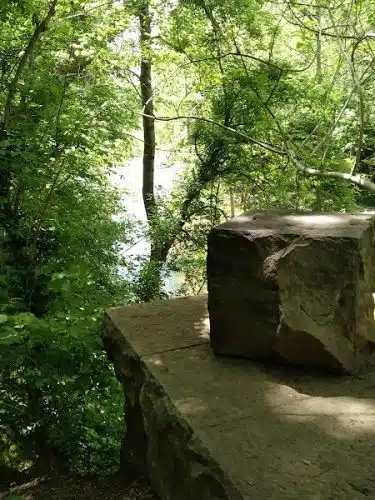 Wincopin Trails