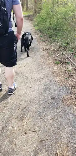 Wincopin Trails